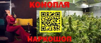 крисы Кохма