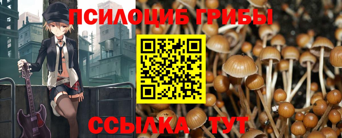 Галлюциногенные грибы мицелий  Галлюциногенные грибы Psilocybine cubensis  Партизанск  наркотики  Вход с VPN 